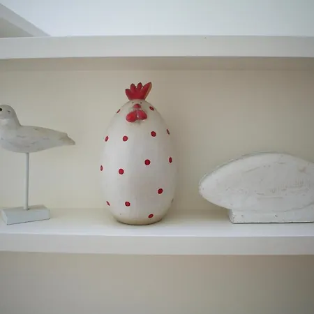 Nova Casa Com Piscina No Convento Bernardas