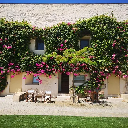 Nova Casa Com Piscina No Convento Bernardas Apartment *