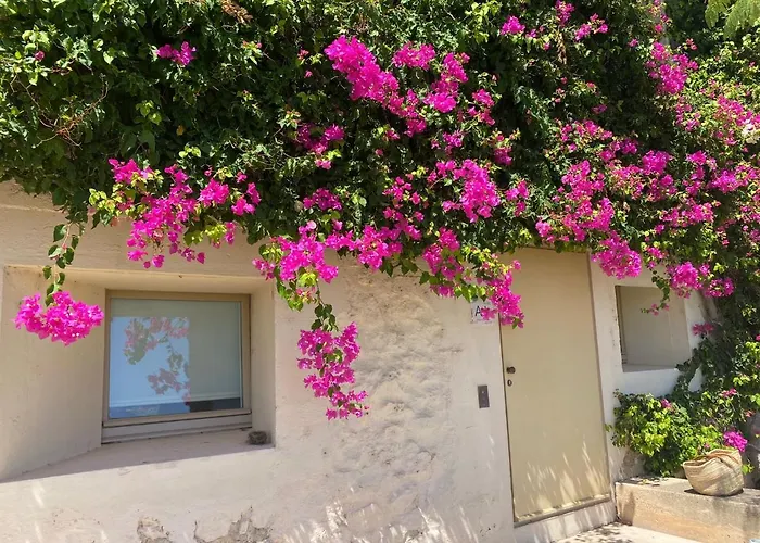 Nova Casa Com Piscina No Convento Bernardas Apartment *