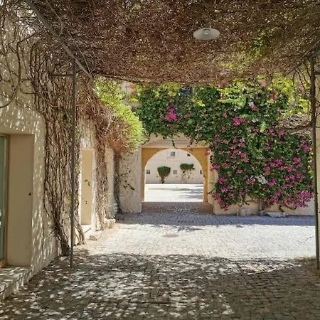 Appartement Nova Casa Com Piscina No Convento Bernardas