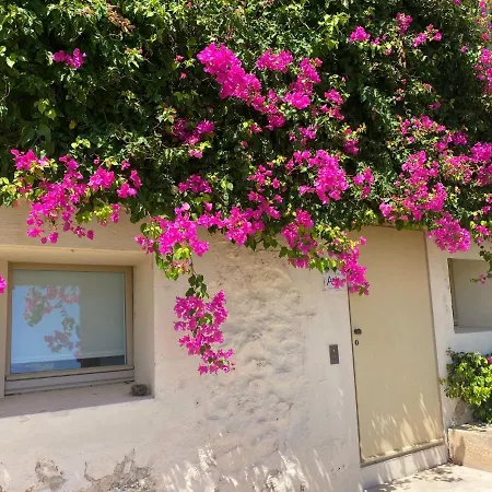 Nova Casa Com Piscina No Convento Bernardas Daire *